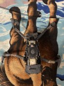 Mavic