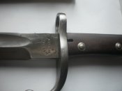 PB170167.JPG