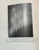 IMG_3419.jpeg