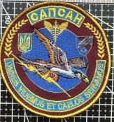 Шеврон Украина САПСАН № 1098
