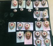 IMG_E3530.JPG
