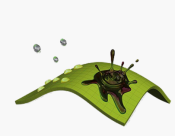 2.PNG
