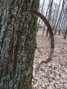 IMG_20250208_162657.jpg
