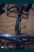 IMG_5963.jpeg