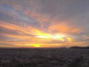IMG_20131214_095528.jpg