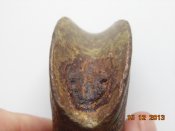 DSC01925.JPG
