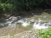 SAM_0964.JPG