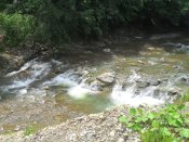 SAM_0965.JPG