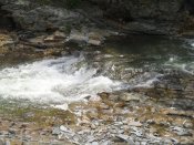 SAM_0976.JPG