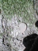 IMG0155A.jpg
