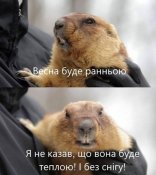 IMG-957af4000c7d301463100efa27b688df-V.jpg