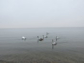 IMG_0080.JPG