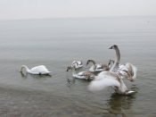 IMG_0082.JPG