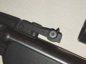 IMG_20250131_185155.jpg