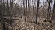 IMG_20250213_125618.jpg