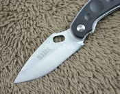 Original-5-11-2010-Authe.jpg