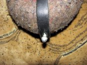 Изменение размера IMG_1652.jpg