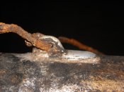 DSCN7573.JPG