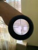 IMG_0309.jpeg