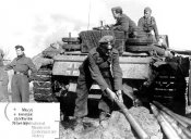 mnzs_6762_4 Przedwoewski.jpg