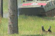 За Сталина - или как я геройски подбил немецкий танк гранатой.jpg