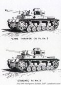 pz3ft.jpg