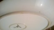 WP_20131206_004.jpg