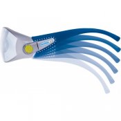 PACAYA CLEAR branche-500x500.jpg