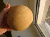 DSC01328.JPG