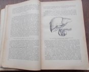 Учебник для подготовки медсестер