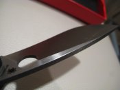 IMG_1113.JPG