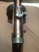 IMG_1095.jpeg