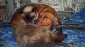 IMG_20131217_043932.jpg