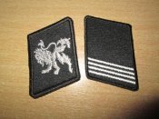 Петлицы