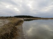 IMG_0167.JPG