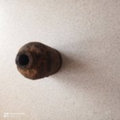 Японська граната Taisho