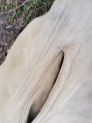 IMG_20250315_173230.jpg