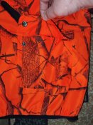 IMG_20250316_015501.jpg