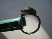IMG_3195_thumb.jpg