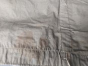 IMG_20250313_145626_1.jpg