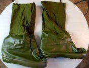 IMG_20250320_095938.jpg