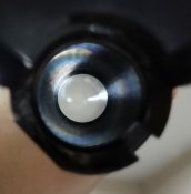 IMG_7860.JPEG