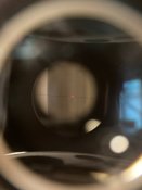 IMG_1444.jpeg
