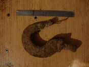 DSC00487.JPG