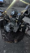 IMG_4779.jpeg