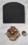 Кацапський шеврон морпіхів "Пантера" та нагрудний знак