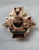 Кацапський шеврон морпіхів "Пантера" та нагрудний знак