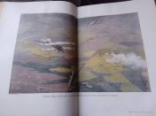 " Der Krieg 1914-1917". (ПСВ в описах та образах)