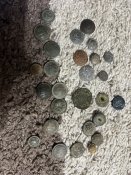 IMG_2772.jpeg