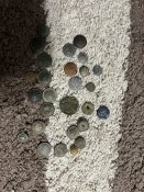 IMG_2770.jpeg